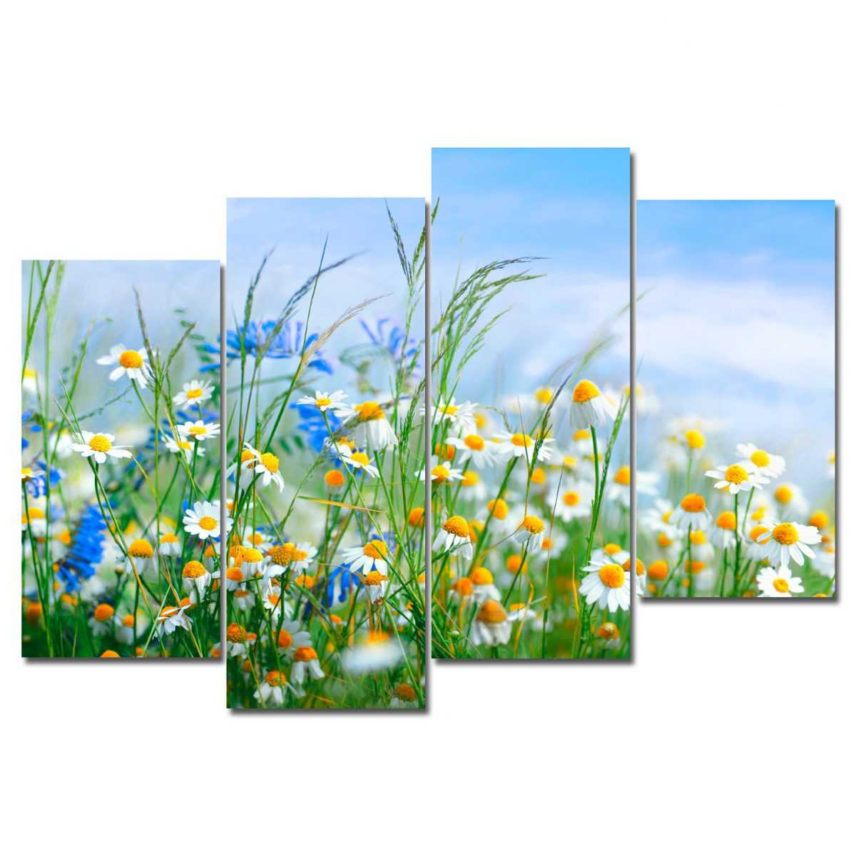 Картина модульная на холсте Полевые цветы - 140х90 см