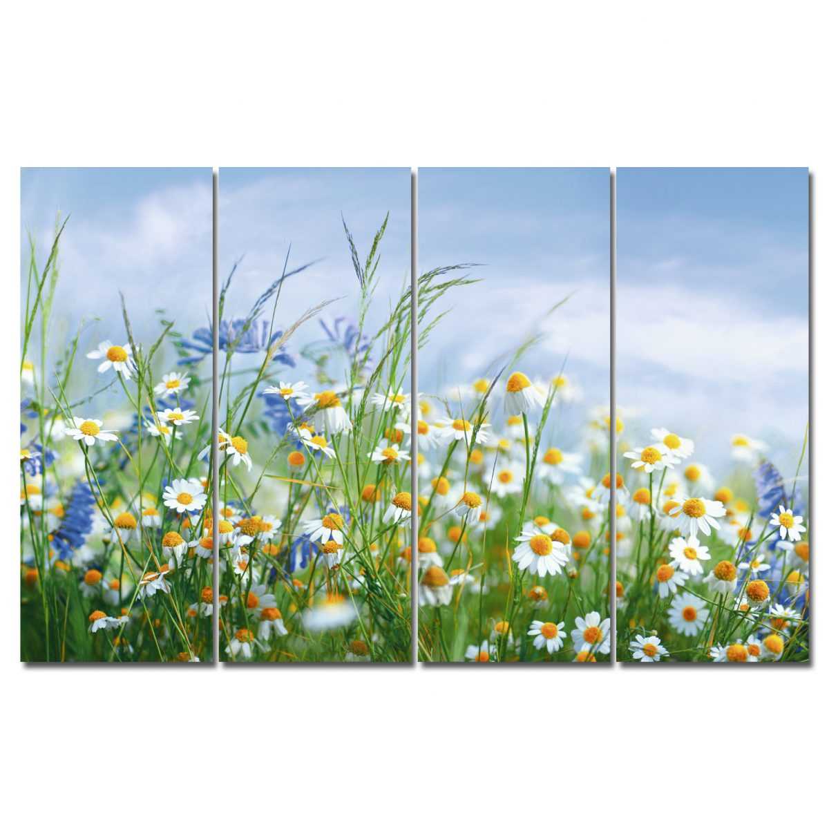 Картина модульная на холсте Полевые цветы - Лина и Ко