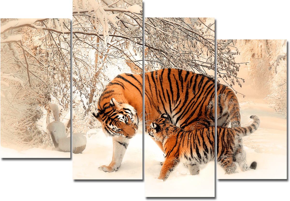 Картина модульная на холсте Тигры