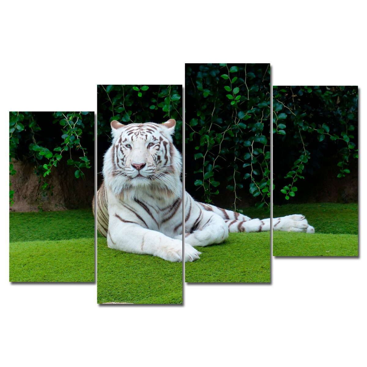 Картина модульная на холсте Белый тигр