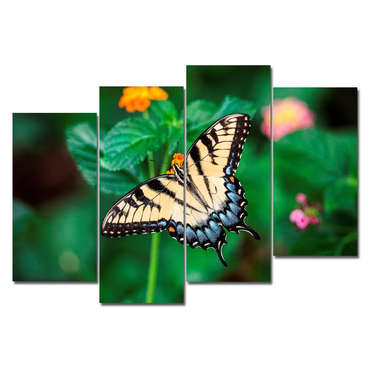 Картина модульная на холсте Бабочка
